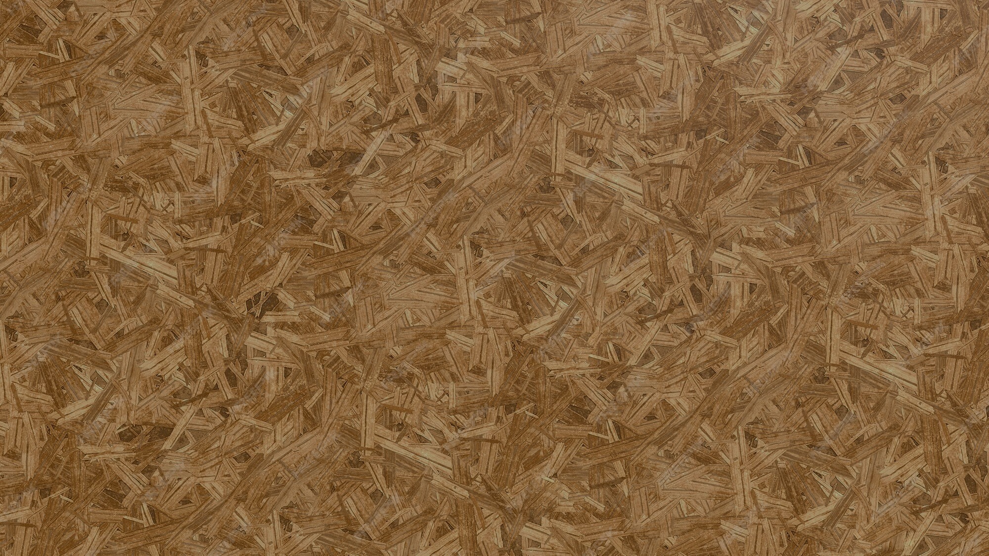 Title Image